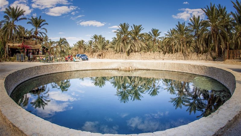 واحة سيوة 