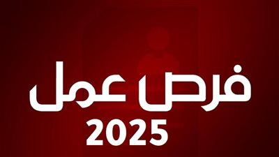 فرصة عمل برواتب تبدأ من 10 آلاف جنيه.. وظائف محاسبين متاحة الآن عبر«فرصنا»