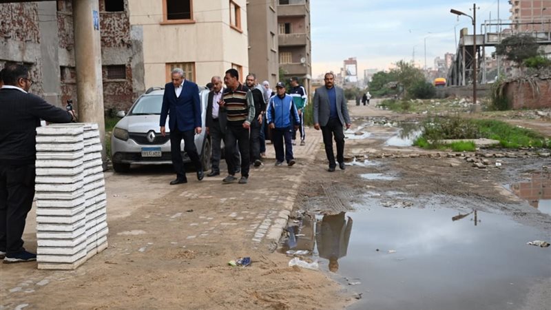 محافظ الغربية 