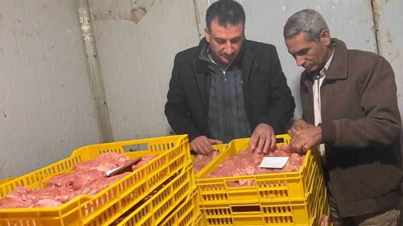 صورة من المجزر