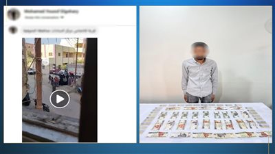 أمن المنوفية يُسقط 