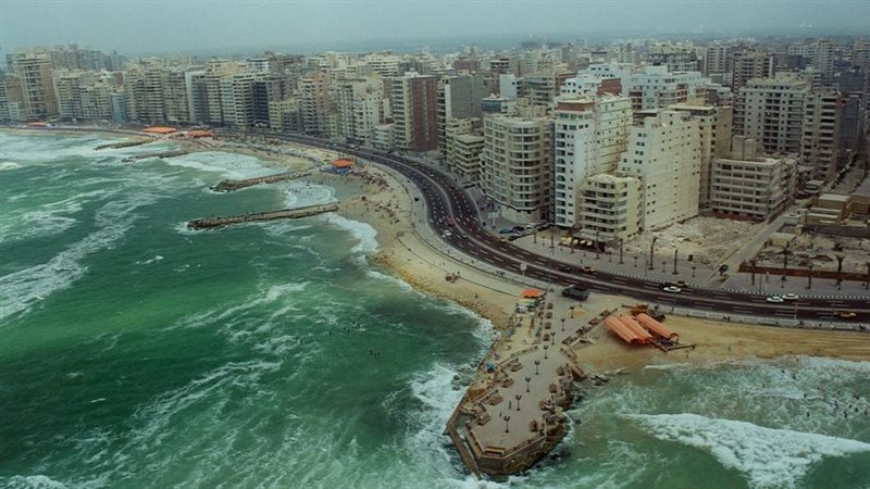 ارشيفية