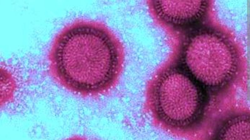 فيروس H1N1