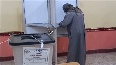 كبار السن يتصدرون المشهد الانتخابي في جولة الإعادة بالمطرية.. صور