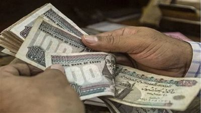 حازم المنوفي: الدعم النقدي يضمن وصول الدعم لمستحقيه ويقضي على الهدر