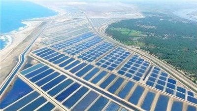 من موقع غير شرعي لأكبر مزرعة بمصر.. إنجازات تضع كفر الشيخ على خريطة التنمية