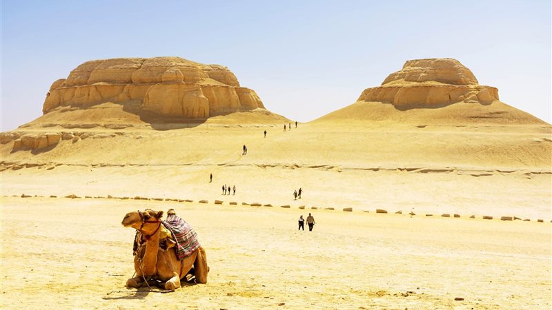 مدينة ديمية السباع