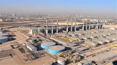 ضوء جديد يتسلل من العصافرة.. سر الدقهلية الذي لفت أنظار أوروبا