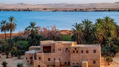 السياحة البيئية في مصر.. فرص واعدة بين المحميات الطبيعية وتجارب السفر المستدام 