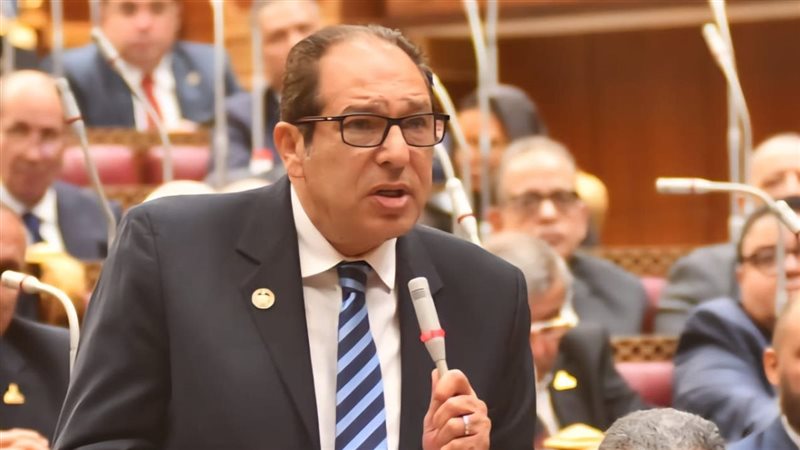 النائب حسام الخولي 