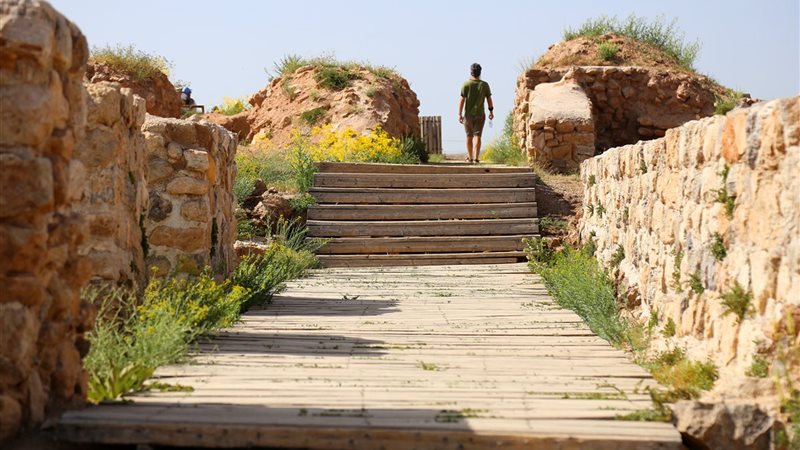 محافظة الغربية
