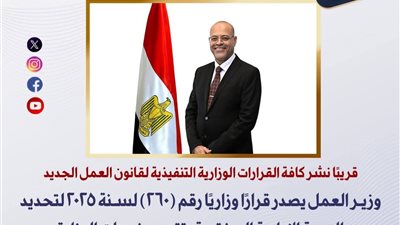 وزير العمل يحدد الجهة الإدارية المختصة بتقديم الخدمات بقرار وزاري رقم (260) لسنة 2025
