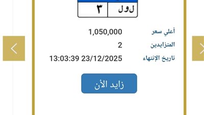مزاد المرور في مصر: لوحة «ل و ل ٣» تتصدر المنافسة بأسعار صادمة