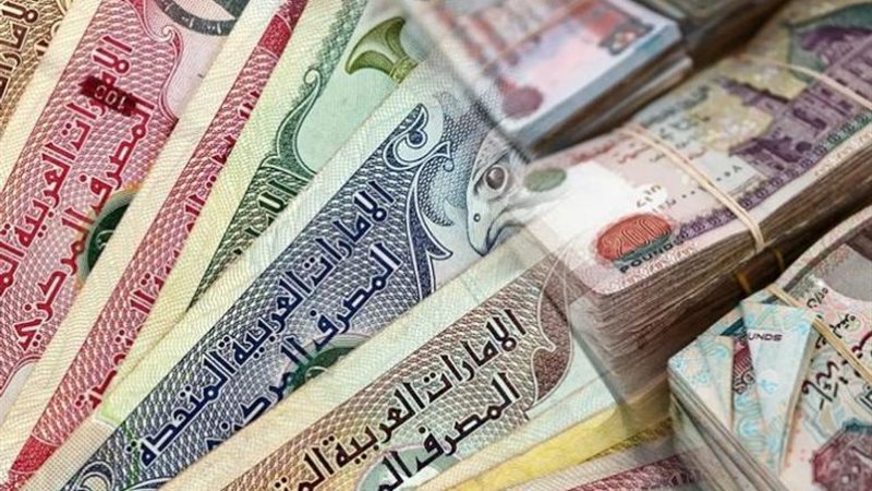 الدرهم الإماراتي 