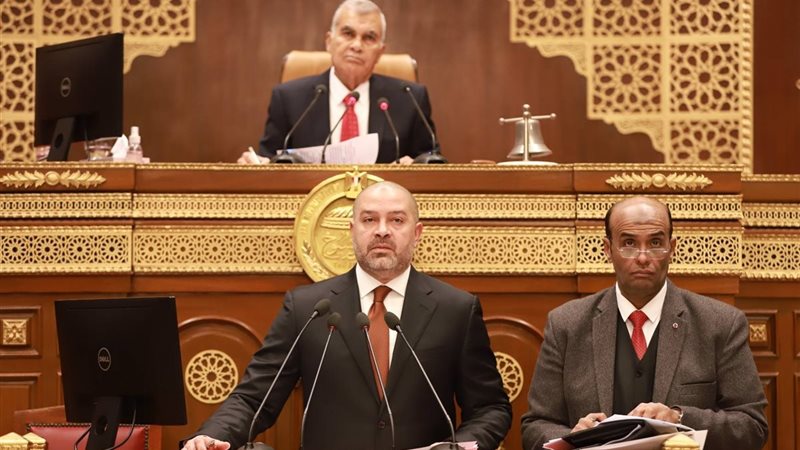 الجلسة العامة لمجلس الشيوخ