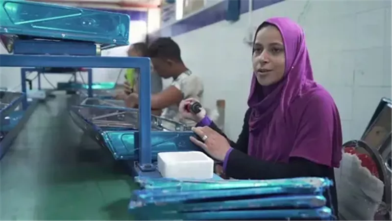 تنمية المشروعات 