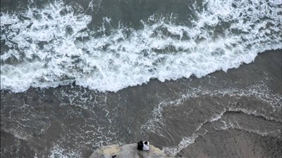  تحلية مياه البحر في مصر.. مشروعات عملاقة لضمان الأمن المائي على السواحل