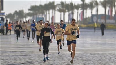 وفد إماراتي يصل القاهرة استعدادا لانطلاق النسخة الـ10 من سباق زايد الخيري
