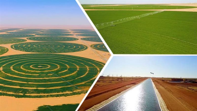 مشروع توشكي الخير 
