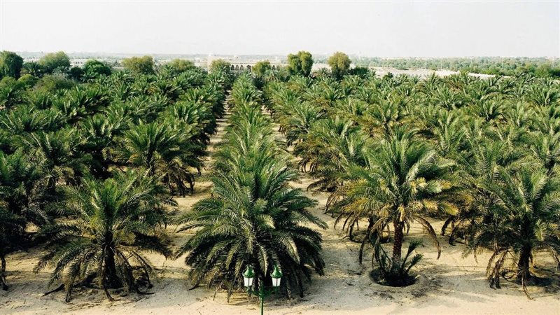 مشروع توشكي الخير 