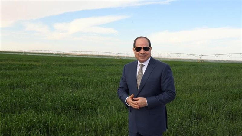  مشروع توشكى