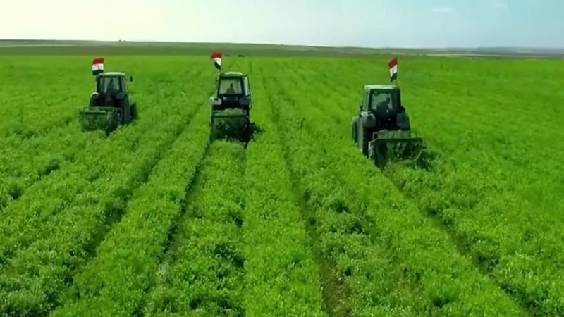 مستقبل مصر للتنمية