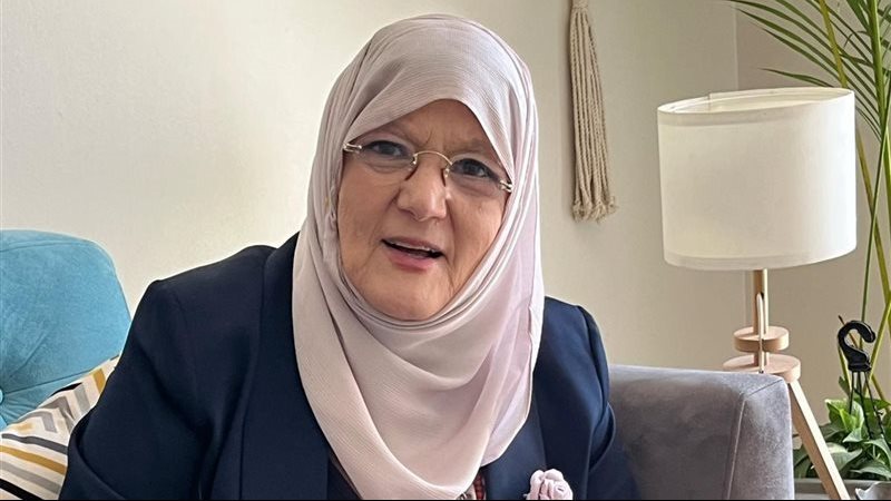 شمس البارودي