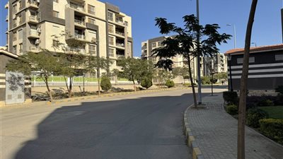 حصاد أسبوعي لمدينة القاهرة الجديدة.. جهود ميدانية متواصلة لتحسين الخدمات وضبط المخالفات