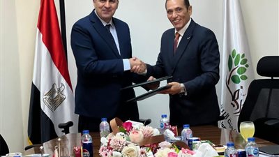 تنمية الريف المصري تطلق مشروعًا ضخمًا لتوصيل الكهرباء لمليون فدان بسهل المنيا الغربي
