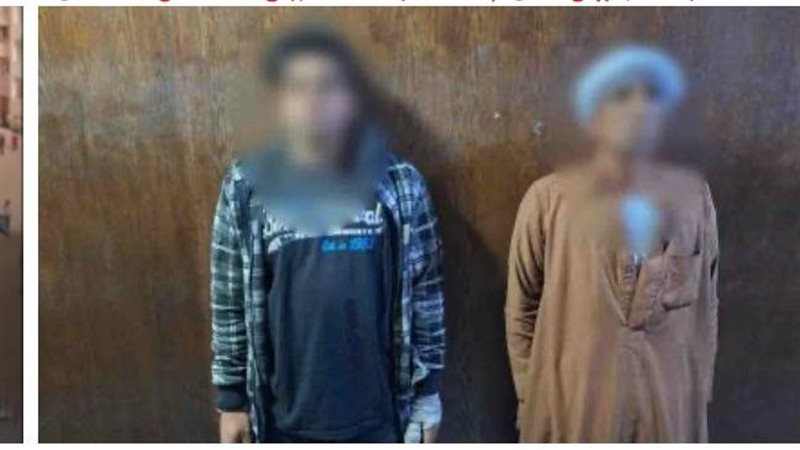 حقيقة دخول خيول إلى مدرسة بالجيزة