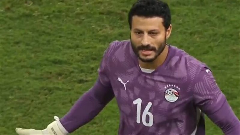 محمد الشناوي