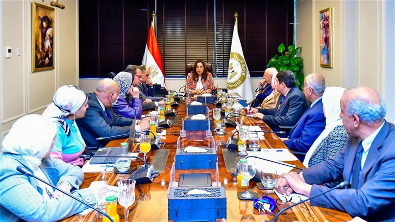وزيرة التنمية المحلية