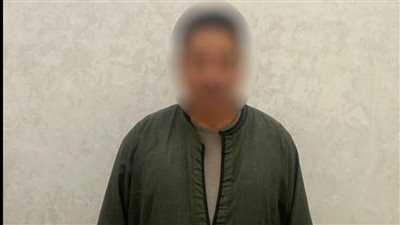محاولات مكشوفة لشراء الأصوات في البحيرة..ضبط متهمين بأموال وبطاقات شخصية
