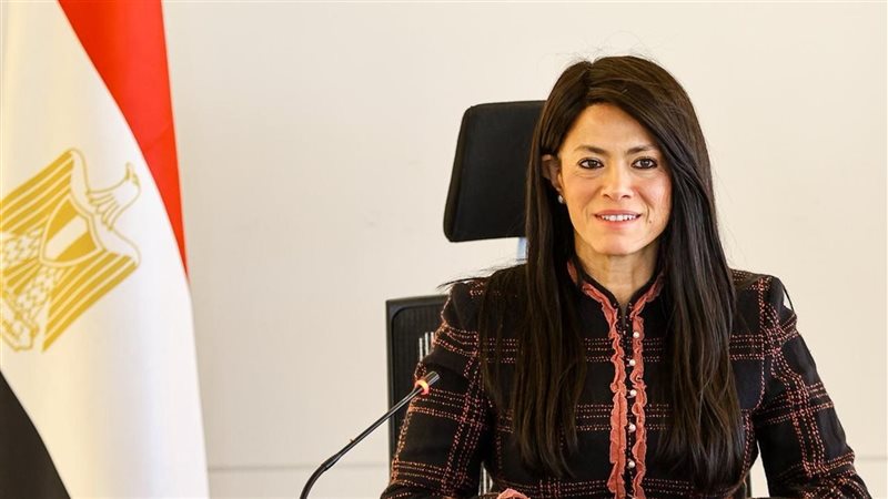وزيرة التخطيط