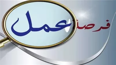 ننشر التخصصات الأعلى طلبًا بفرص التوظيف بالفيوم وبني سويف ودمنهور في 2025
