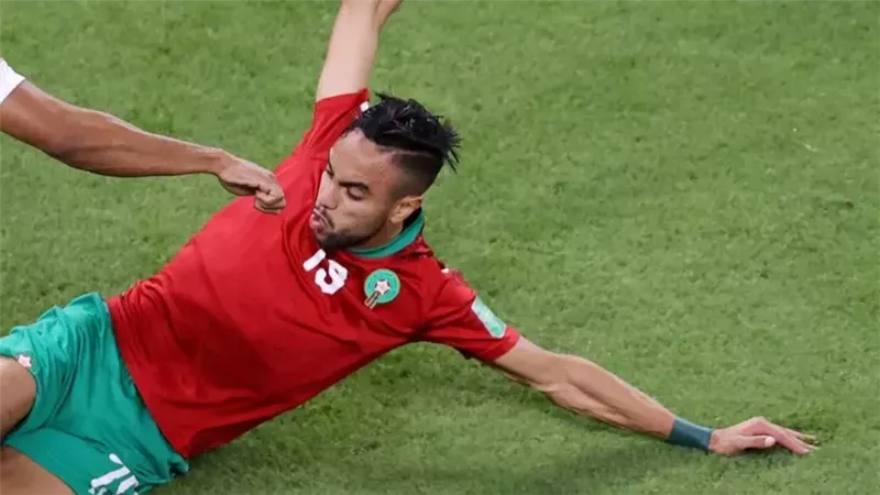 الشيبي