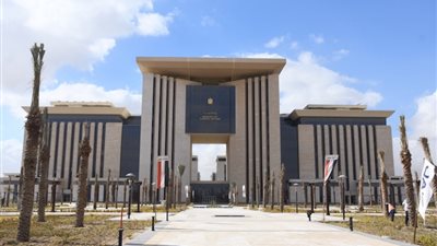 مصر تعلق على تصنيف أمريكا للإخوان كـ