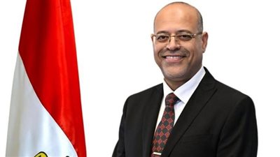 منحة عيد الميلاد للعمالة غير المنتظمة.. وزير العمل يعلن خبرا سعيدا