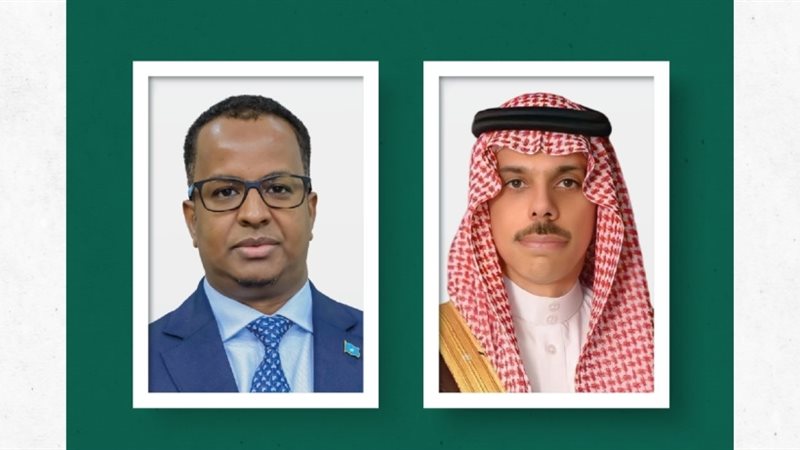 وزيرا خارجية السعودية والصومال 