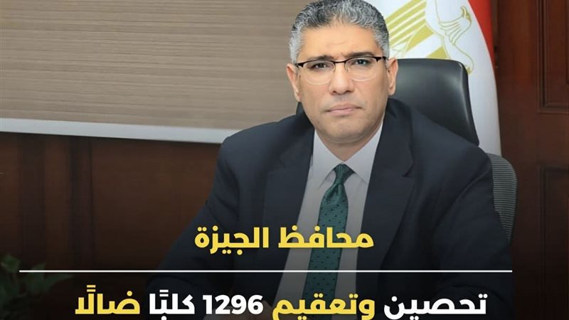 محافظ الجيزة 
