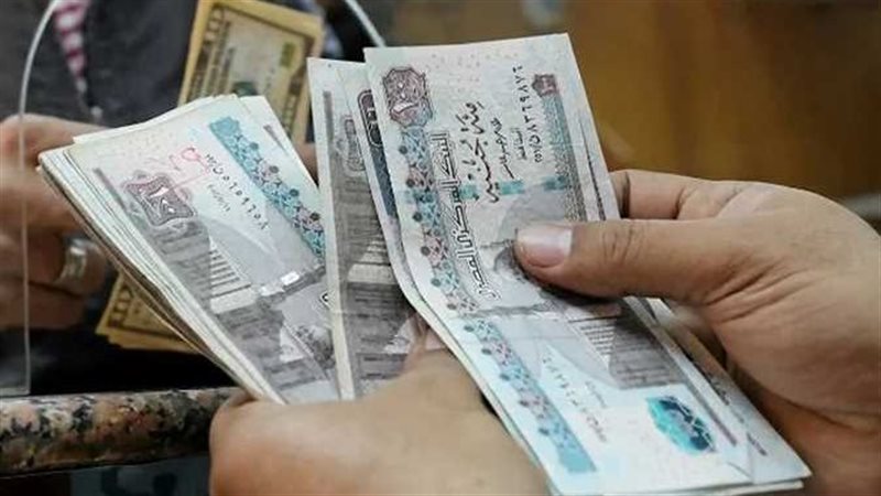مرتبات 
