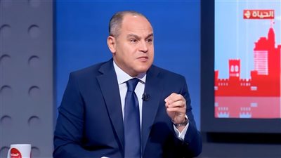 عضو بـ«الشيوخ»: الدولة تمتلك قوانين صارمة لمواجهة جرائم السوشيال ميديا وحماية الأسرة