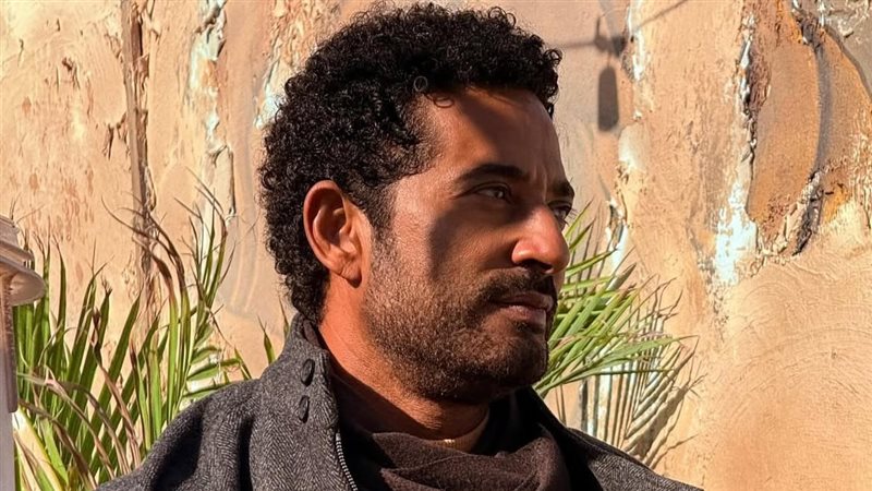 عمرو سعد 