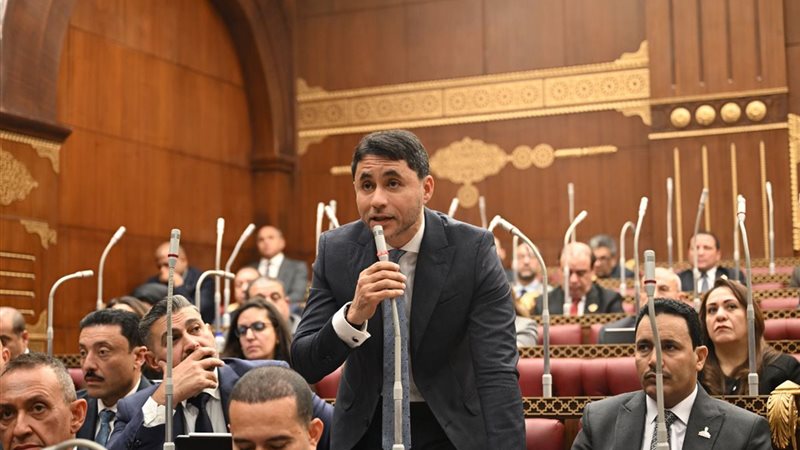 النائب محمد مظلوم، عضو مجلس الشيوخ
