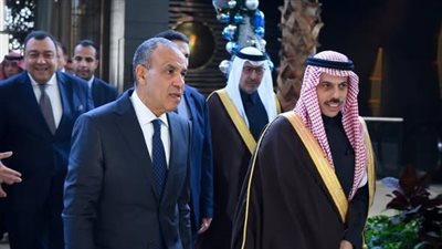 وزير الخارجية يبحث مع نظيره السعودي ضمان التدفق المنتظم للمساعدات لقطاع غزة
