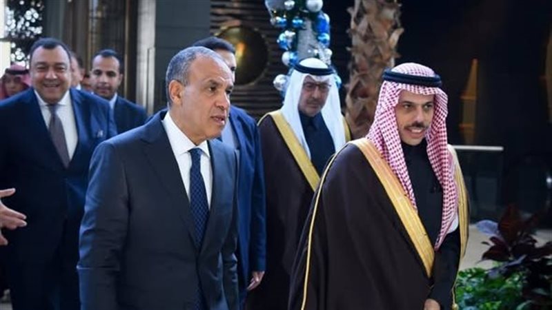 وزير الخارجية ونظيره السعودي 