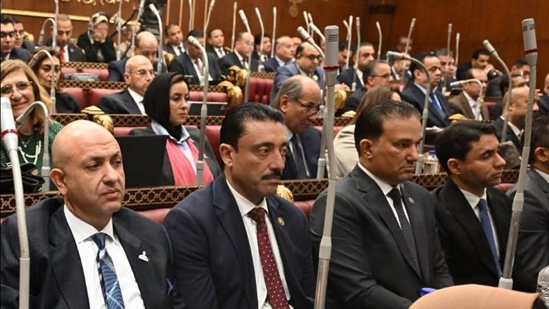 النائب محمد رزق 