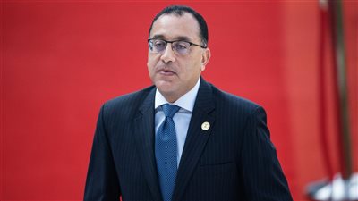 الدولة تدخل على خط الأزمة.. إجراءات جديدة لتنظيم ملف الحيوانات الضالة