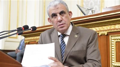 رئيس «القوى العاملة» بالنواب يهنئ البابا تواضروس وأقباط مصر بعيد الميلاد المجيد