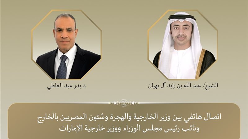 وزير الخارجية بدر عبد العاطي 